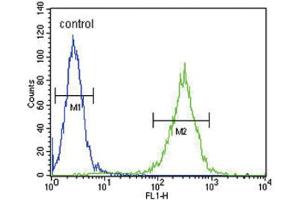 Flow Cytometry (FACS) image for anti-Hydroxysteroid (17-Beta) Dehydrogenase 12 (HSD17B12) antibody (ABIN3004142)