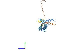 AlphaFold protein structure predicition of Mouse Recombinant Bod1 Protein, UniprotID Q5SQY2