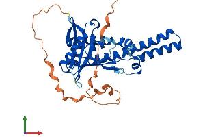 AlphaFold protein structure predicition of Human Recombinant NAT8L Protein, UniprotID Q8N9F0