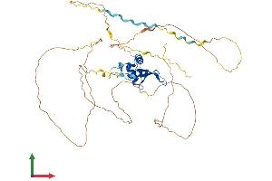 AlphaFold protein structure predicition of Mouse Recombinant Foxg1 Protein, UniprotID Q60987