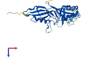 AlphaFold protein structure predicition of Mouse Recombinant Pusl1 Protein, UniprotID A2ADA5