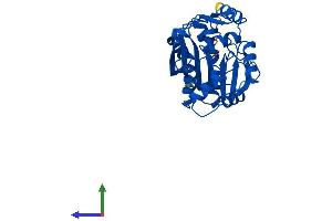 AlphaFold protein structure predicition of Mouse Recombinant Pnmt Protein, UniprotID P40935