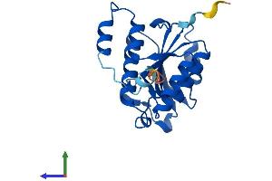 AlphaFold protein structure predicition of Mouse Recombinant Isoc2b Protein, UniprotID Q9DCC7