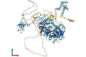 AlphaFold protein structure predicition of Mouse Recombinant Dhx8 Protein, UniprotID A2A4P0