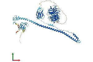 AlphaFold protein structure predicition of Human Recombinant TRIM2 Protein, UniprotID Q9C040