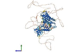 AlphaFold protein structure predicition of Mouse Recombinant Plekhm2 Protein, UniprotID Q80TQ5