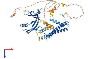 AlphaFold protein structure predicition of Human Recombinant TAF7L Protein, UniprotID Q5H9L4