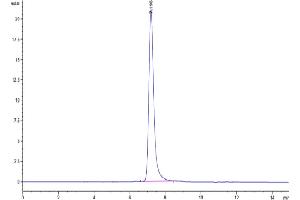The purity of Human Tenascin is greater than 95 % as determined by SEC-HPLC.