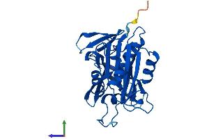 AlphaFold protein structure predicition of Mouse Recombinant Cyb5r2 Protein, UniprotID Q3KNK3