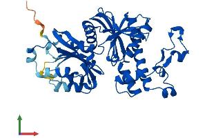 AlphaFold protein structure predicition of Human Recombinant PANK3 Protein, UniprotID Q9H999