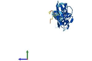 AlphaFold protein structure predicition of Human Recombinant LMO1 Protein, UniprotID P25800