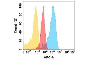 Flow cytometry analysis with Anti-P on Expi293 cells transfected with human P (Blue histogram) or Expi293 transfected with irrelevant protein (Red histogram), and  Isotype antibody on Expi293 transfected with irrelevant protein (Orange histogram).