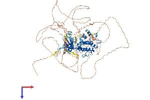 AlphaFold protein structure predicition of Mouse Recombinant Mastl Protein, UniprotID Q8C0P0