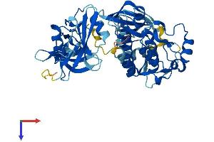 AlphaFold protein structure predicition of Mouse Recombinant Ptk6 Protein, UniprotID Q64434