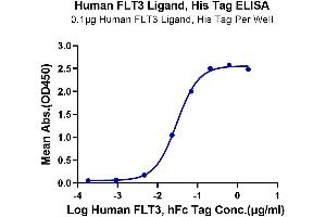 Immobilized Human FLT3 Ligand, His Tag at 1 μg/mL (100 μL/Well) on the plate.