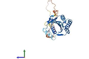 AlphaFold protein structure predicition of Human Recombinant MAF1 Protein, UniprotID Q9H063