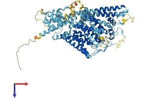 AlphaFold protein structure predicition of Mouse Recombinant Tpcn2 Protein, UniprotID Q8BWC0