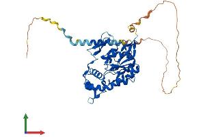 AlphaFold protein structure predicition of Human Recombinant HS3ST3B1 Protein, UniprotID Q9Y662