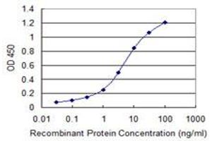 Detection limit for recombinant GST tagged ORC3L is 0. (ORC3 anticorps  (AA 602-711))