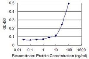 Detection limit for recombinant GST tagged KLHL4 is 1 ng/ml as a capture antibody.