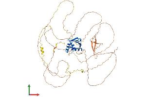 AlphaFold protein structure predicition of Mouse Recombinant Elf1 Protein, UniprotID Q60775