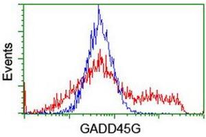Image no. 1 for anti-Growth Arrest and DNA-Damage-Inducible, gamma (GADD45G) antibody (ABIN1497601) (GADD45G anticorps)