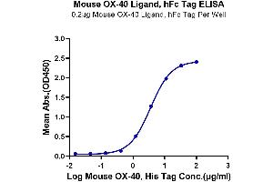Immobilized Mouse OX40 Ligand at 2 μg/mL (100 μL/well) on the plate.