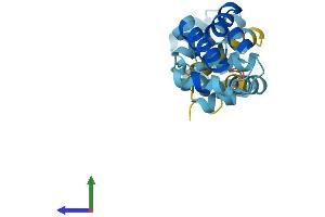 AlphaFold protein structure predicition of Human Recombinant CRADD Protein, UniprotID P78560