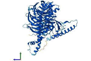 AlphaFold protein structure predicition of Human Recombinant BBS7 Protein, UniprotID Q8IWZ6