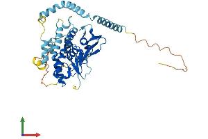 AlphaFold protein structure predicition of Mouse Recombinant Pnpla3 Protein, UniprotID Q91WW7