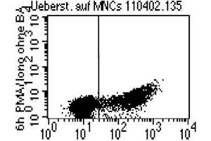 Intracellular detection of granzyme B in human PBMC.