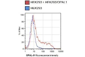 Flow cytometry analysis of OPAL-transfected HEK293 cells using mouse monoclonal antibody (OPAL1 anticorps  (AA 152-342))