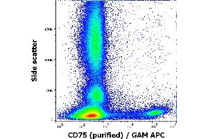 Flow cytometry surface staining pattern of human peripheral whole blood stained using anti-human CD75 (LN1) purified antibody (concentration in sample 5 μg/mL, GAM APC). (ST6GAL1 anticorps)
