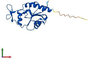 AlphaFold protein structure predicition of Human Recombinant MDP1 Protein, UniprotID Q86V88