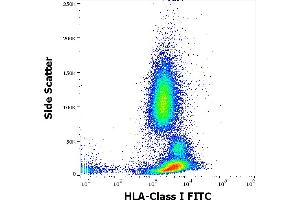 Flow cytometry surface staining pattern of human peripheral whole blood stained using anti-human HLA Class I (W6/32) FITC antibody (concentration in sample 3 μg/mL).