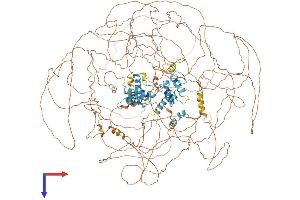 AlphaFold protein structure predicition of Mouse Recombinant Gli3 Protein, UniprotID Q61602