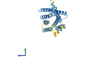 AlphaFold protein structure predicition of Mouse Recombinant Tas2r4 Protein, UniprotID Q9JKT3