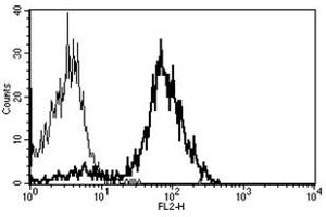 Flow Cytometry (FACS) image for anti-CD86 (CD86) antibody (PE) (ABIN1106596)