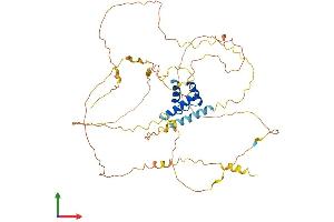 AlphaFold protein structure predicition of Mouse Recombinant Irx3 Protein, UniprotID P81067