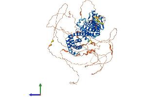 AlphaFold protein structure predicition of Mouse Recombinant Rfx1 Protein, UniprotID P48377