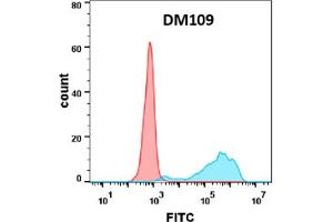 Flow cytometry analysis with Anti-B7-1 (DM109) on Expi293 cells transfected with human B7-1 (Blue histogram) or Expi293 transfected with irrelevant protein (Red histogram). (CD80 anticorps  (AA 35-242))