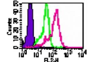 Intracellular flow cytometric analysis of TLR1 in human PBMCs (monocyte-gated) using TLR1 polyclonal antibody  at 0. (TLR1 anticorps  (AA 400-450))