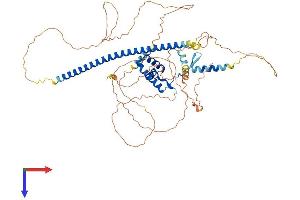 AlphaFold protein structure predicition of Human Recombinant SOX13 Protein, UniprotID Q9UN79