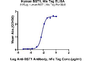 Immobilized Human BST1, His Tag at 0. (BST1 Protein (AA 29-293) (His tag))
