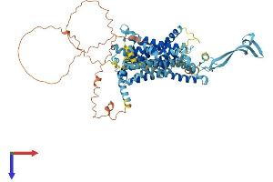 AlphaFold protein structure predicition of Mouse Recombinant Slc34a2 Protein, UniprotID Q9DBP0