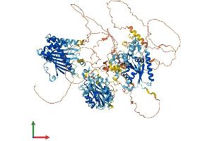 AlphaFold protein structure predicition of Human Recombinant PITPNM2 Protein, UniprotID Q9BZ72