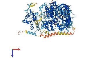 AlphaFold protein structure predicition of Human Recombinant DIS3L Protein, UniprotID Q8TF46