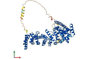 AlphaFold protein structure predicition of Human Recombinant CTNNBL1 Protein, UniprotID Q8WYA6
