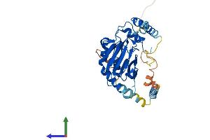 AlphaFold protein structure predicition of Human Recombinant ASPHD2 Protein, UniprotID Q6ICH7