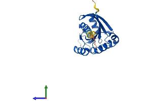 AlphaFold protein structure predicition of Human Recombinant RAB9B Protein, UniprotID Q9NP90